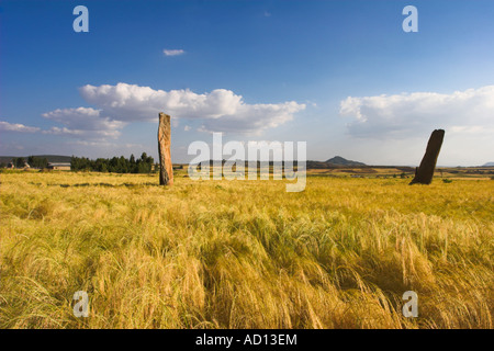 Etiopia, Aksum, stele Gudit campo Foto Stock