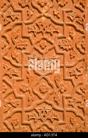 Aprile 2006. Verticale fino in prossimità di una pietra arenaria scolpita a pannello Akbar's Palace di Fatehpur Sikri Foto Stock