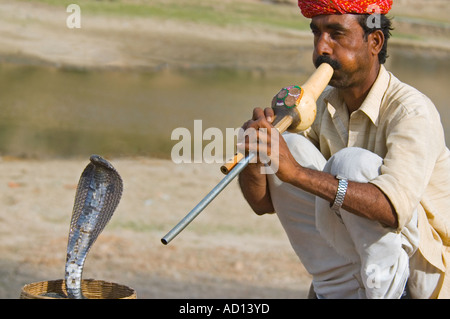 Chiudere orizzontale di un serpente incantatore di eseguire con il suo cappuccio Indian Spectacled cobra 'Naja Naja". Foto Stock