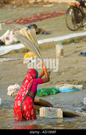 Una donna indiana (dhobi wallah) vestita di un colore rosso brillante sari, lavaggio biancheria vicino al Kedar Ghat di Varanasi. Foto Stock