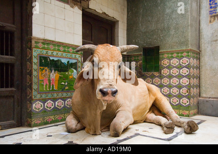 India, Uttar Pradesh, Varanasi, aprile 2006. Foto Stock