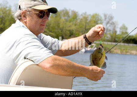 Fisherman holding a just caught bluegill sunfish Lepomis macrochirus. Gull Lake Nisswa Minnesota USA Foto Stock