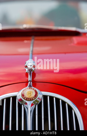 Red Jaguare 1966 MKII auto sportiva Foto Stock