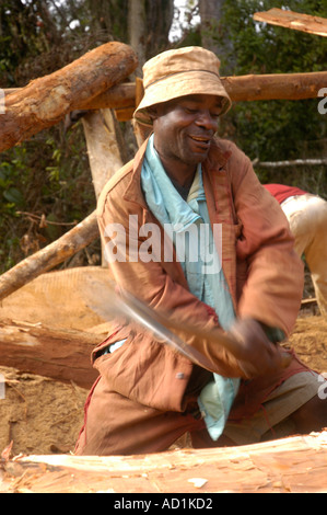 Operazione di registrazione in legno duro misto bosco sopra Zomba Malawi Foto Stock