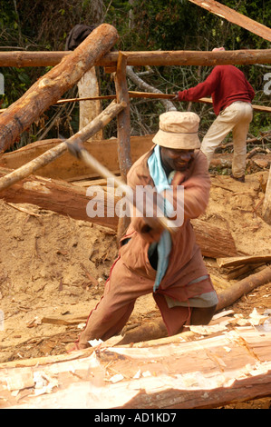Operazione di registrazione in legno duro misto bosco sopra Zomba Malawi Foto Stock