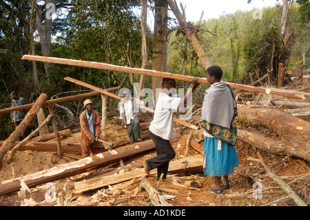 Operazione di registrazione in legno duro misto bosco sopra Zomba Malawi Foto Stock