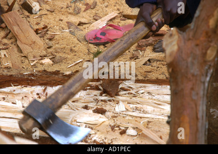 Operazione di registrazione in legno duro misto bosco sopra Zomba Malawi Foto Stock