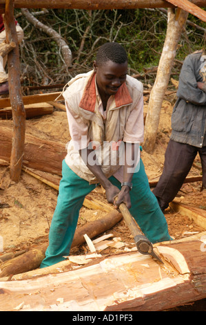 Operazione di registrazione in legno duro misto bosco sopra Zomba Malawi Foto Stock