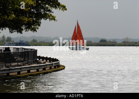 Una barca a vela in serata sole sul Oulton Broad Suffolk REGNO UNITO Foto Stock