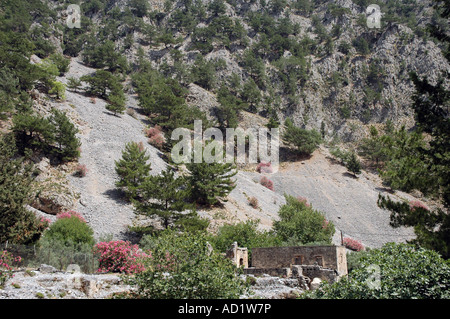 Agia Roumeli villaggio situato sul bordo della Samaria Gorge National Park sull'isola greca di Creta Foto Stock