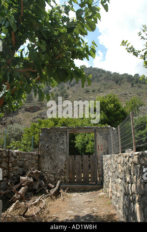 Fattoria abbandonati in Agia Roumeli villaggio situato sul bordo della Samaria Gorge National Park sull'isola greca di Creta Foto Stock