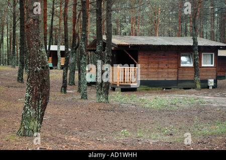 Case di legno tra gli alberi di pino, resort a Okoniny Nadjeziorne, Kuyavian-Pomeranian Voivodato in Polonia Foto Stock