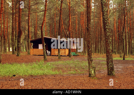 Case di legno tra gli alberi di pino, resort a Okoniny Nadjeziorne, Kuyavian-Pomeranian Voivodato in Polonia Foto Stock