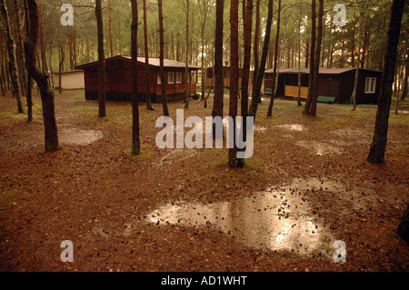 Case di legno tra gli alberi di pino, resort a Okoniny Nadjeziorne, Kuyavian-Pomeranian Voivodato in Polonia Foto Stock