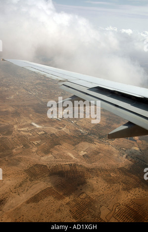 Alberi di olivo frutteti visto durante lo sbarco approccio in Tunisia, la vista dalla finestra del piano Foto Stock