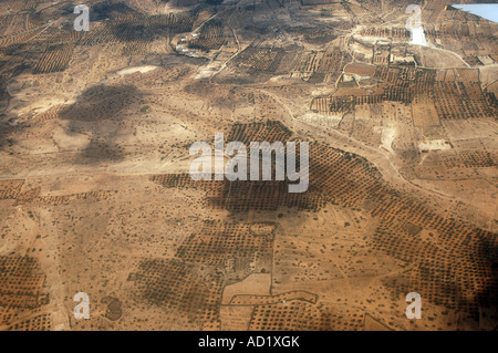 Alberi di olivo frutteti visto durante lo sbarco approccio in Tunisia, la vista dalla finestra del piano Foto Stock