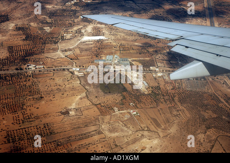 Alberi di olivo frutteti visto durante lo sbarco approccio in Tunisia, la vista dalla finestra del piano Foto Stock