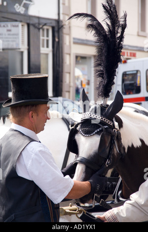 Nero cavallo piumati e cocchiere non un funerale condimento ma tradizionale per un pullman visto nella città di Kelso Scottish Borders Regno Unito Foto Stock