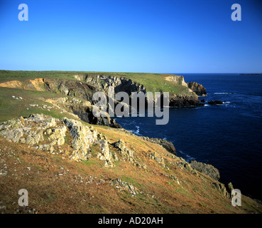 Deadmans Bay, il parco dei cervi, Marloes, Pembrokeshire, West Wales. Foto Stock