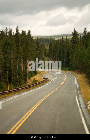 La strada attraverso il Parco Nazionale di Yellowstone. Montana di Stato. Stati Uniti d'America Foto Stock