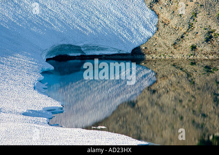 Lago ghiacciato di Mount Rainier Washington Stati Uniti d'America verso la fine di luglio 2007 Foto Stock