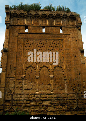 Una parete decorativa in Chellah Foto Stock