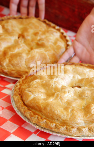 Virginia Loudoun County, Round Hill, Hill High Country Store, panetteria, torta di mele, dessert, VA070620114 Foto Stock