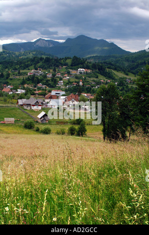 Podu Dambovitei villaggio nei pressi di Piatra Craiului Montagne dei Carpazi 177 Km da Bucharest Romania Europa Foto Stock