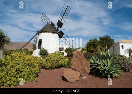 Dh Centro de Artesania Molino ANTIGUA FUERTEVENTURA Fuerteventuran tradizionale mulino a vento rurale nel museo del villaggio giardino di cactus Foto Stock