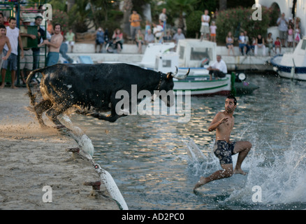 Non è quello che volete diving dopo aver Fiesta in Moraira Costa Blanca Spagna Foto Stock