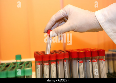 Esame del sangue le provette per campioni Foto Stock