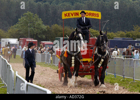 E Drayhorse Dray a Bakewell Show 2007 nel Derbyshire "Gran Bretagna" Foto Stock