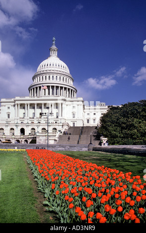 United States Capitol Building Washington D C Foto Stock