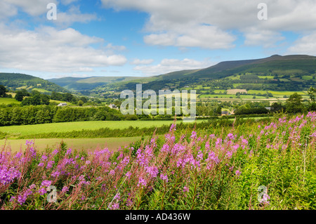 La valle di Usk vicino a Crickhowell nel parco nazionale Bannau Brycheiniog (Brecon Beacons), Powys, Galles. Foto Stock