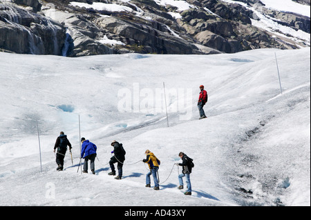 Passeggiata guidata sul ghiacciaio Nigardsbreen nel Jostedalsbreen Parco Nazionale di lucentezza Sogn og Fjordane Norvegia Foto Stock