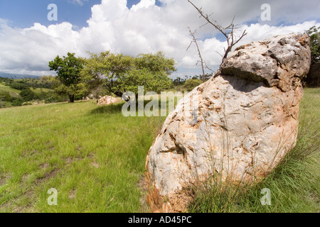 Paesaggio di Komodo, terra dei draghi. Foto Stock