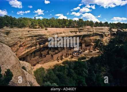 Il Parco Nazionale di Mesa Verde, Cliff Palace, Colorado, Stati Uniti d'America Foto Stock