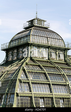 Palmenhaus , storica casa verde Schoenbrunn, Vienna, Austria Foto Stock