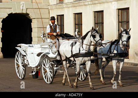 Taxi con pullman bianco, Fiaker, Vienna, Austria Foto Stock