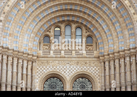 Museo di Storia Naturale a Cromwell Road Londra REGNO UNITO Foto Stock