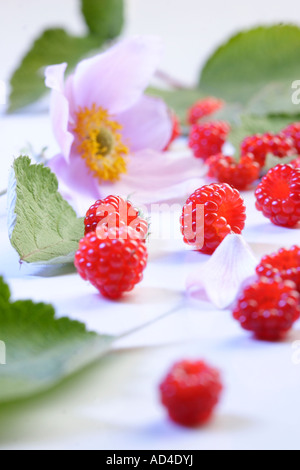 Il lampone e fiori Foto Stock