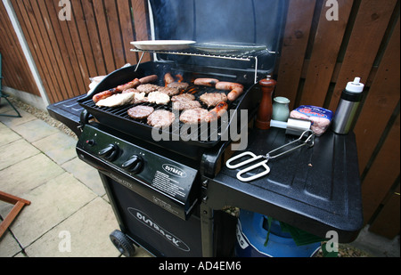 Vari tipi di carne cotti su un gas powered barbecue. Foto Stock