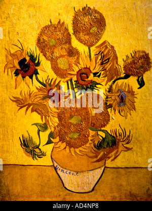 Girasoli di Van Gogh Foto Stock
