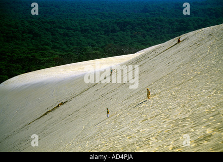 La Teste de Buch Aquitane Francia Dune du Pyla la gente a piedi giù per la duna Foresta delle Landes Foto Stock