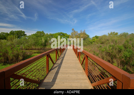 Le zone umide vicino al fiume Cosumnes Nature Preserve vicino a Elk Grove California Foto Stock