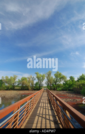 Le zone umide vicino al fiume Cosumnes Nature Preserve vicino a Elk Grove California Foto Stock