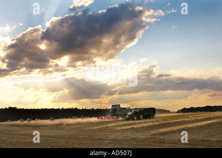 Mietitrebbia al lavoro al crepuscolo in Norfolk, Regno Unito Foto Stock