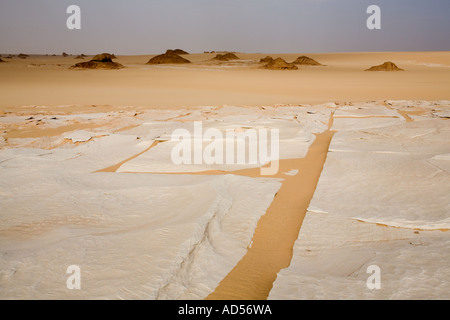 Close up di calcare bianco come ritagliare la formazione di marciapiede sul pavimento del deserto. In rotta verso Gilf Kebir, deserto del Sahara. L'Egitto. Foto Stock