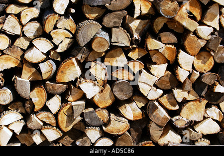 I registri di taglio di legna da ardere Foto Stock