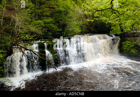 Abbassare Cilhepste cade sul Afon Hepste parte della cascata a piedi a Pontneddfechan South Wales UK Foto Stock